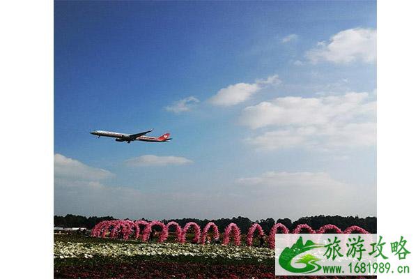 双流空港花田郁金香花节1月25日开启 持续时间-花节内容