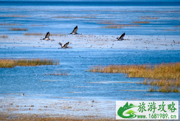 一二月份旅行应该去哪里