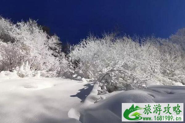 2020北京玉渡山冰雪节营业时间 门票和地点和活动介绍