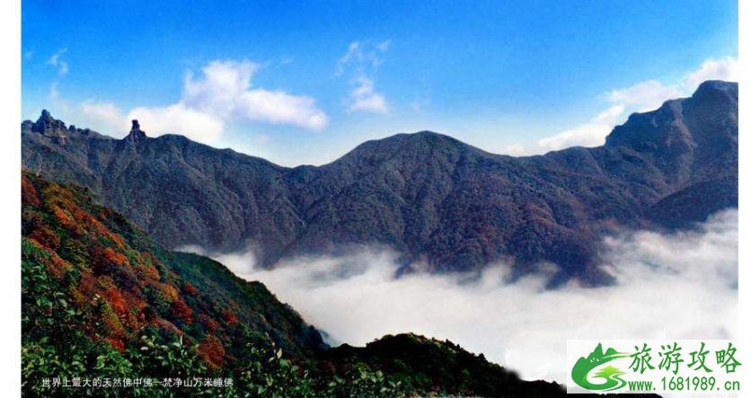 梵净山门票预约指南和门票价格 梵净山一日游路线推荐