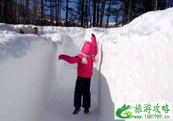 重庆周边有哪些滑雪场 时间-门票