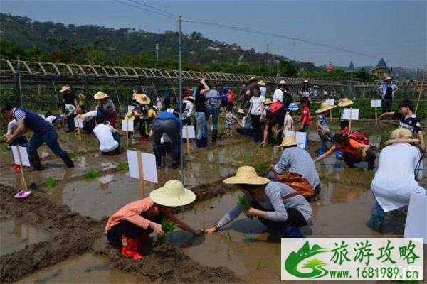 汕头丹樱生态园营业时间 附2020新春庙会活动信息