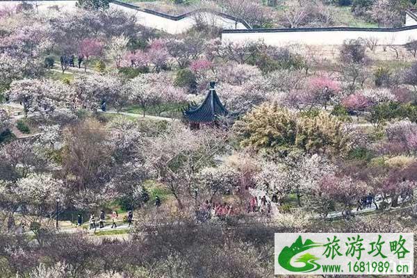 苏州梅花景点在哪里和门票多少钱