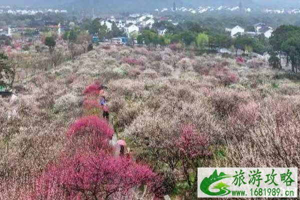 苏州梅花景点在哪里和门票多少钱