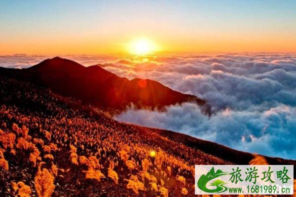 2020武功山景区寒假学生免票预约指南+锦绣江山湖南区域旅游年票购买攻略