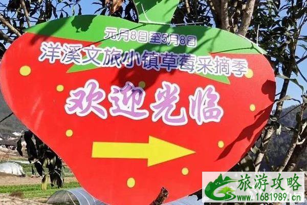 2020年洋溪文旅小镇草莓采摘季时间-地址