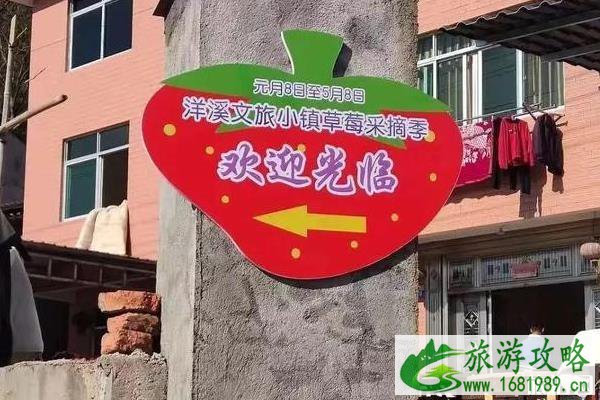 2020年洋溪文旅小镇草莓采摘季时间-地址