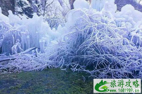 2020北京玉渡山冰雪节截止时间是什么时候+活动亮点