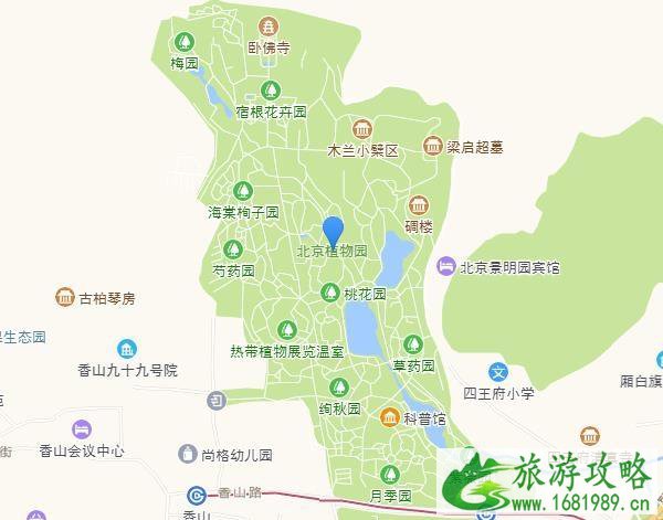 2020北京植物园冰上乐园价格多少钱+开放时间+地址交通