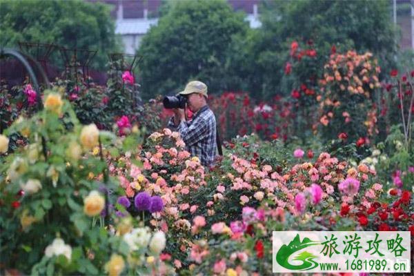 湖南植物园免费开放 怎么预约+预约规则