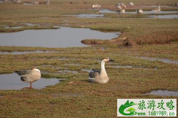 江西南昌游玩景点推荐