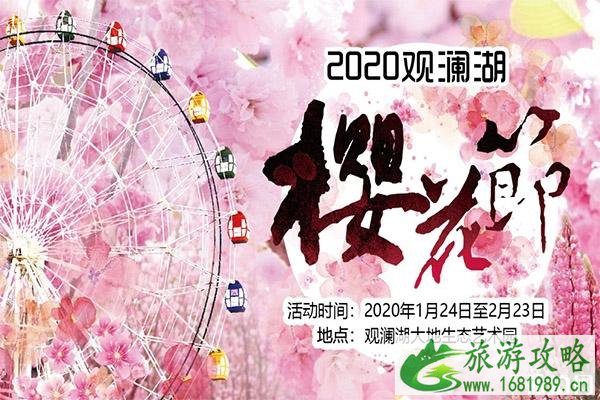 2020观澜湖樱花节1月24日开启