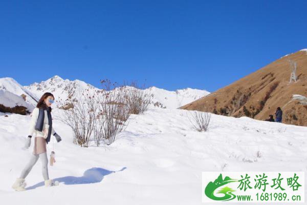 成都鹧鸪山跟团多少钱 成都到鹧鸪山旅游攻略