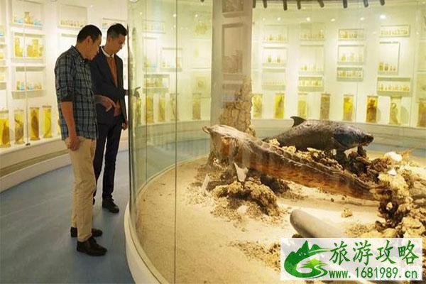 乐清市海洋生物展示中心怎么样