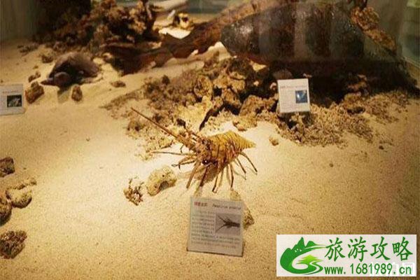 乐清市海洋生物展示中心怎么样