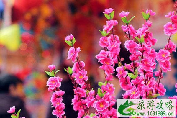 2020广州越秀区迎春花市时间+地点+门票+交通指南 2020广州越秀区迎春花市时间+地点+门票+交通指南