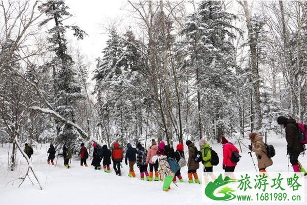 2020雪乡必玩项目 雪乡旅游注意事项