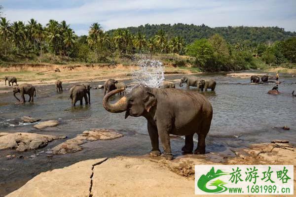 国外有哪些小众旅游免签地