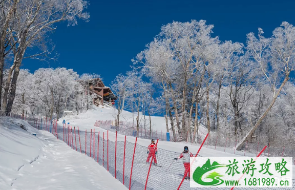 国内有哪些地方适合亲子滑雪场