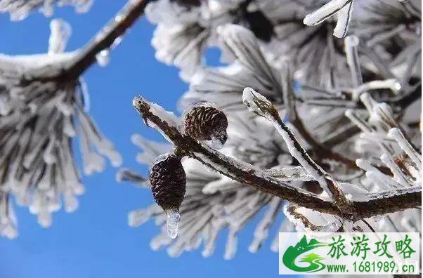 浙江适合看雪的地方推荐