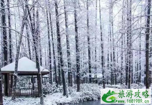 浙江适合看雪的地方推荐