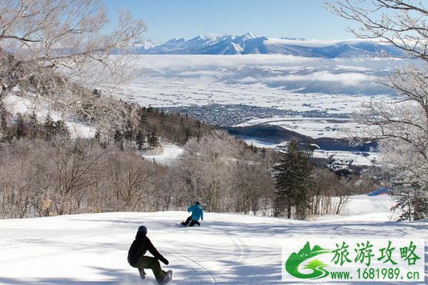 富良野滑雪场游玩攻略（门票+价格+地址）