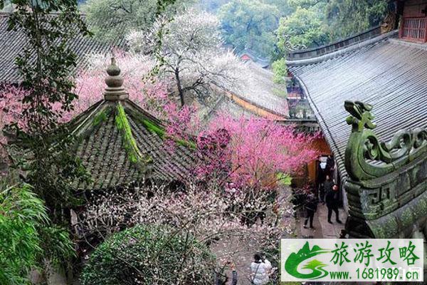 浙江有名的佛寺 浙江五大佛寺