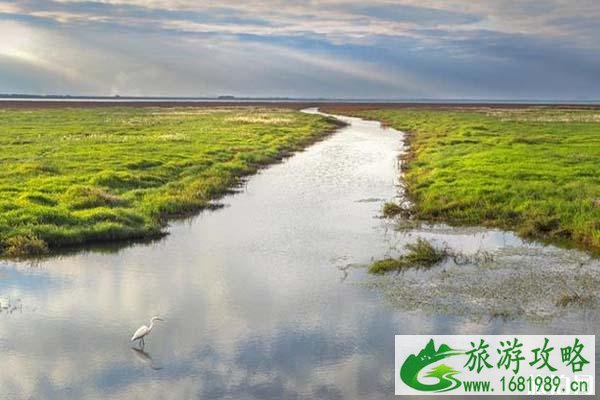 九江鄱阳湖花海攻略