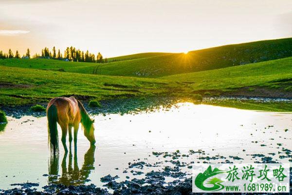 新疆旅游攻略 不可错过的新疆景点