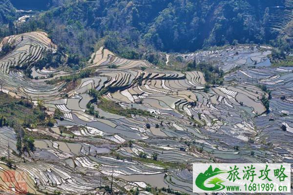 元阳梯田有哪些景点