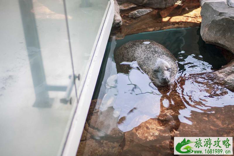 品川水族馆游玩攻略 品川水族馆有什么好玩的项目