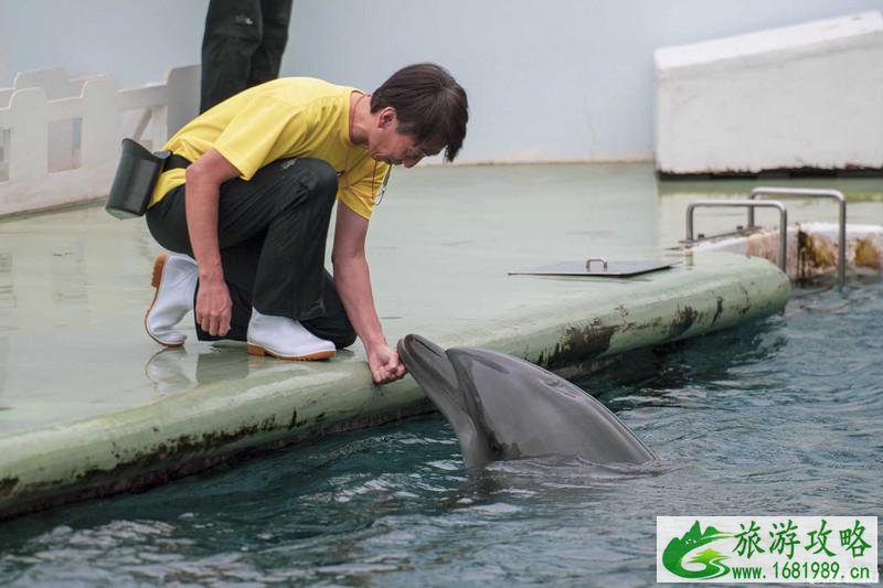 品川水族馆游玩攻略 品川水族馆有什么好玩的项目