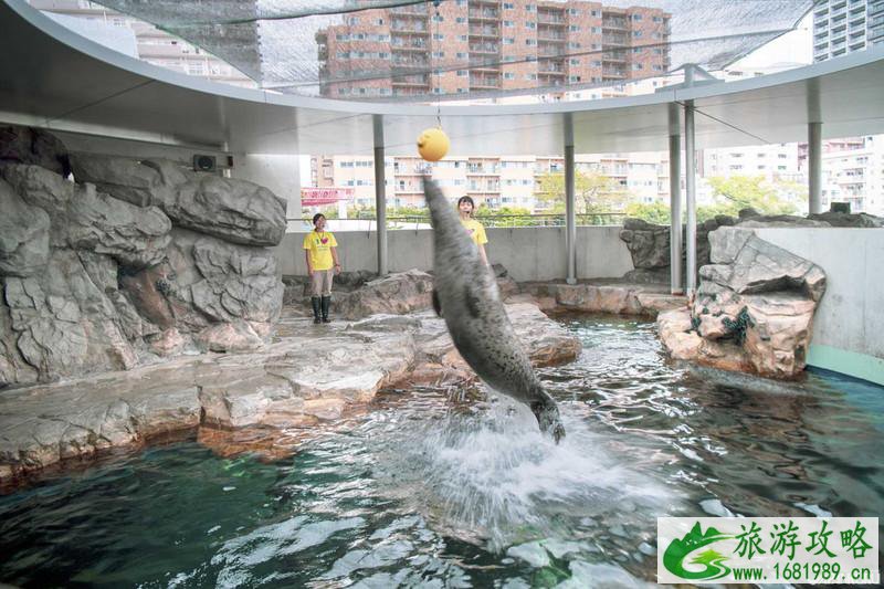 品川水族馆游玩攻略 品川水族馆有什么好玩的项目