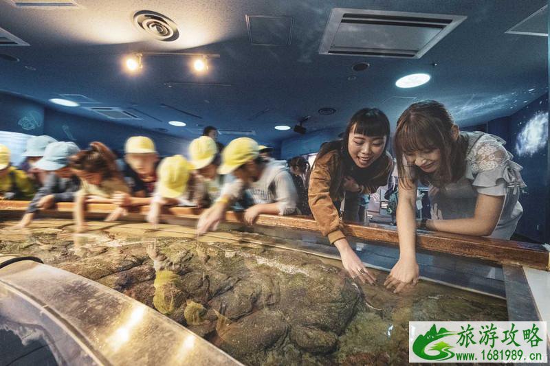 品川水族馆游玩攻略 品川水族馆有什么好玩的项目