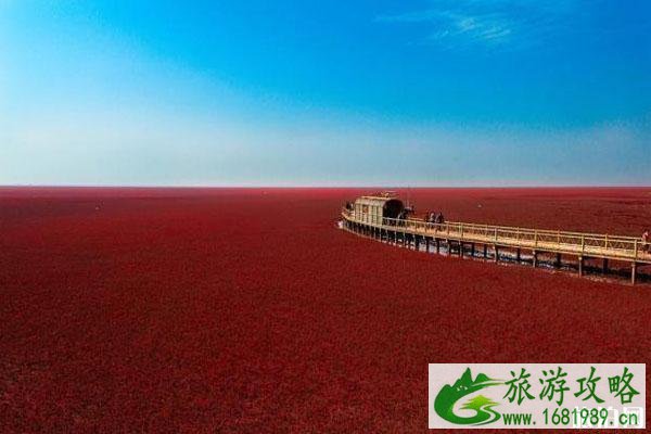 红海滩风景区营业时间 景区特点