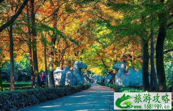 2022南京赏秋攻略 南京秋天两日游攻略 2022南京赏秋攻略 南京秋天两日游攻略