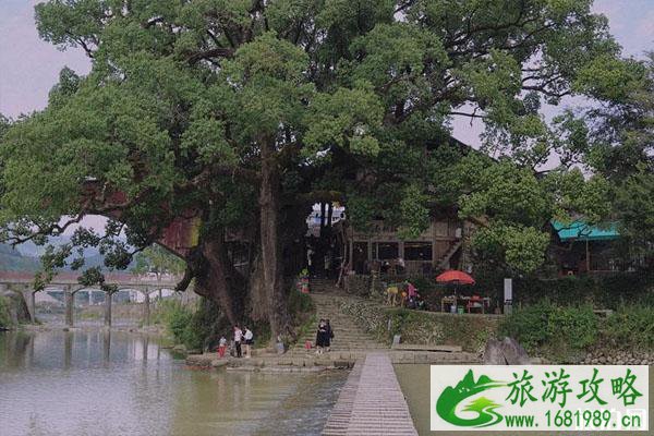 泰顺旅游攻略 泰顺景点介绍