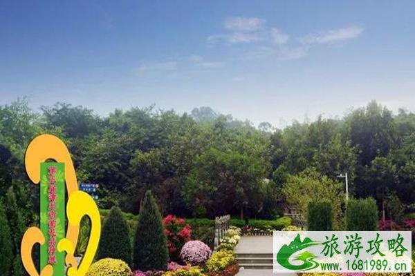 2022漳州菊花展什么时候开始+地点 2022漳州菊花展攻略