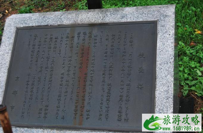 京都八坂神社旅游攻略 京都八坂神社历史简介