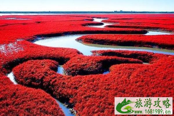 红海滩国家风景廊道自驾车可以进去吗 红海滩国家风景廊道自驾攻略