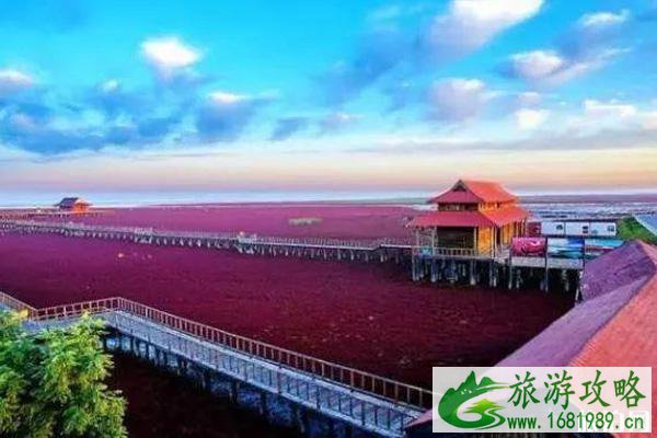 红海滩国家风景廊道自驾车可以进去吗 红海滩国家风景廊道自驾攻略