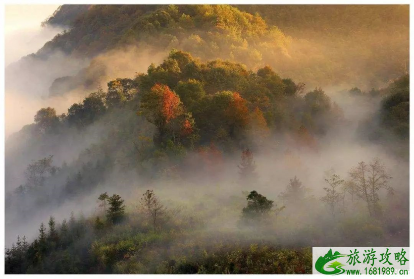 福建龙栖山有着怎样的风景