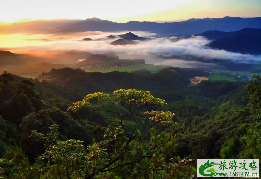 福建龙栖山有着怎样的风景