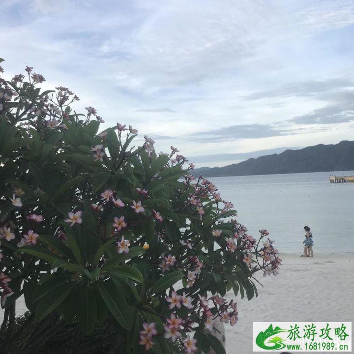 菲律宾旅游攻略及费用 菲律宾旅游详细攻略