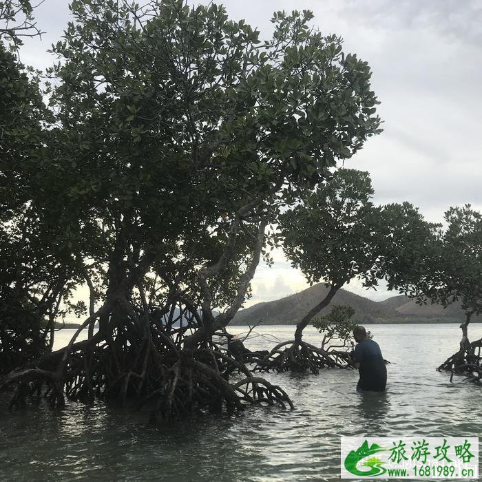 菲律宾旅游攻略及费用 菲律宾旅游详细攻略