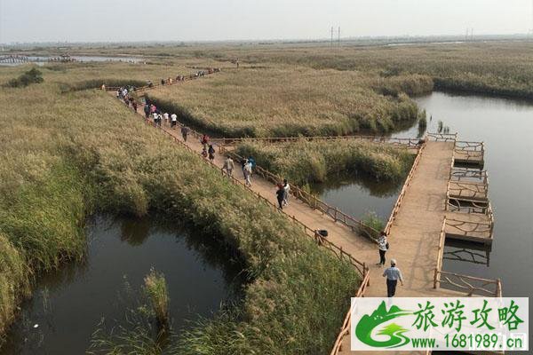 东营市黄河入海口在哪里 门票价格