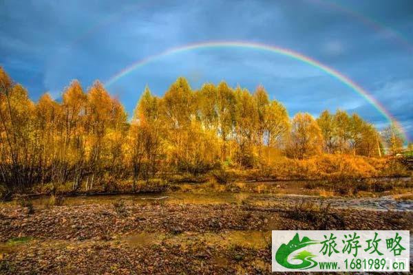 大兴安岭秋天的风景是怎样的