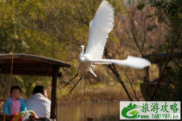 西溪湿地公园景观分析 有哪些美景和美食