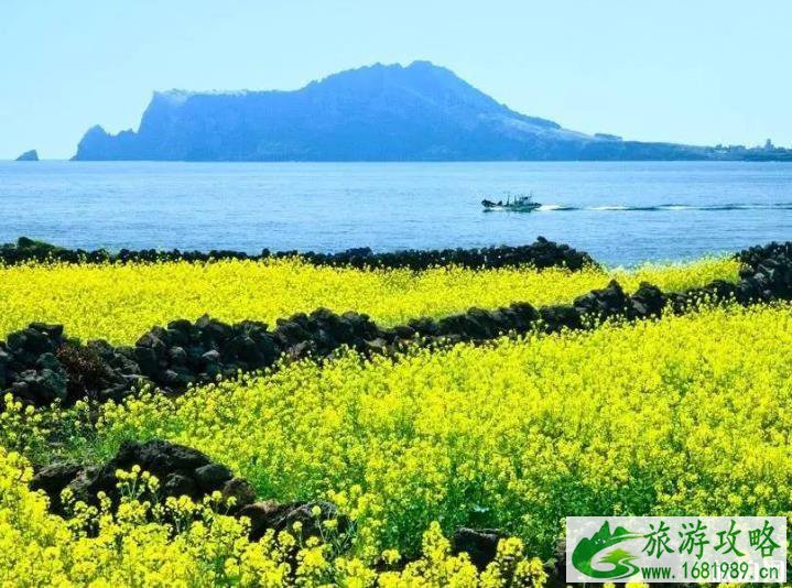 济州岛旅游攻略2020