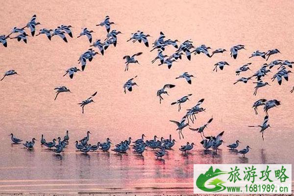 鄱阳湖干旱水底古桥介绍 鄱阳湖秋季旅游攻略